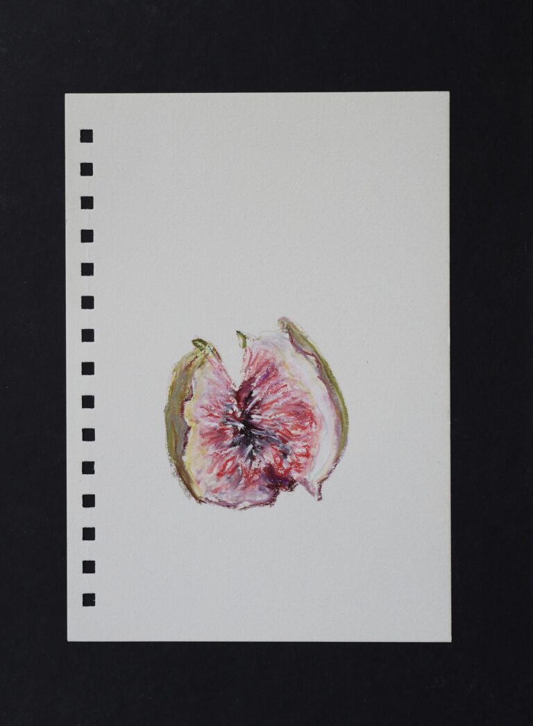 Sem título, Pastel oleoso s/ papel canson, 20,5x14,5 cm, 2025